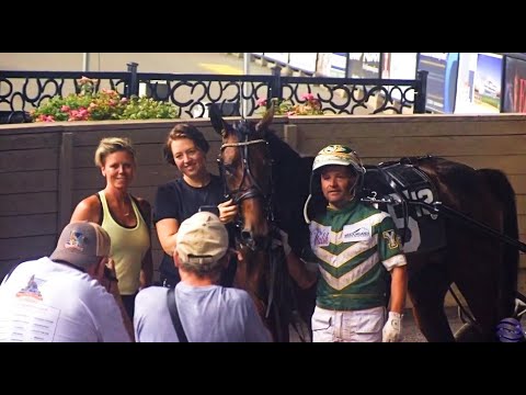 Johan Palema & Yannick Gingras/Svanstedt Stable wins in 1.50,4 (1.08,9) at The  Meadowlands.