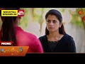 Ethirneechal Thodargiradhu Promo 04 Nov 2025 Tamil Serial Sun TV