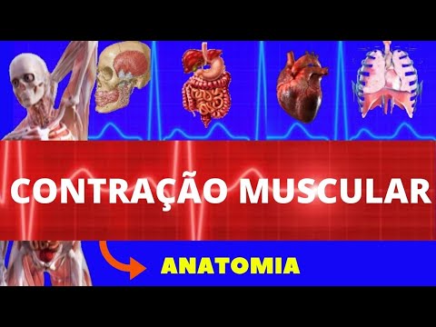 FISIOLOGIA DA CONTRAÇÃO MUSCULAR (FISIOLOGIA DE GUYTON) CONTRAÇÃO MUSCULAR - MÚSCULO ESQUELÉTICO