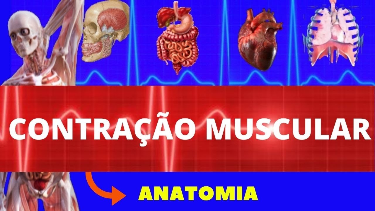 FISIOLOGIA DA CONTRAÇÃO MUSCULAR (FISIOLOGIA DE GUYTON) CONTRAÇÃO MUSCULAR - MÚSCULO ESQUELÉTICO
