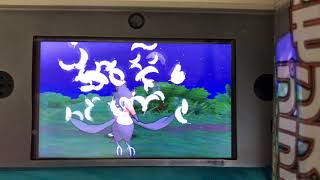 ポケモンサン12アーカラの大試練！前編
