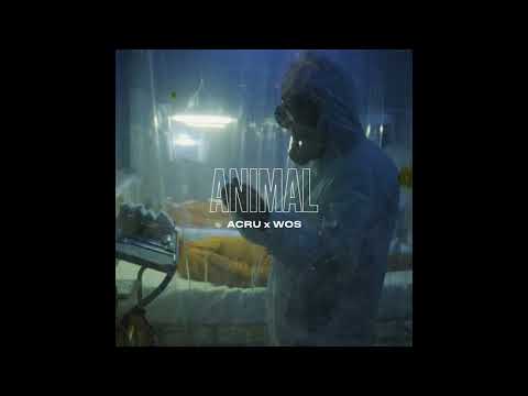 Wos x Acru   ANIMAL