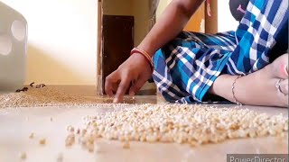 🤫Simple way to clean bajra at home💃