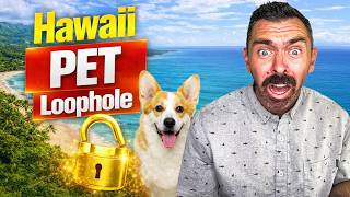The Hidden Loophole for Pet Friendly Housing in Hawaii (Must See!)
