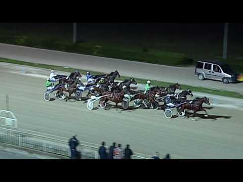 Aversa trotto 15 Febbraio 2020 - 6° Corsa