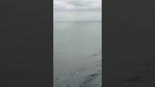 #cruise #adventure #funtimes #vacation #travel #travelphotography #vlog #blog #cruiseadventure