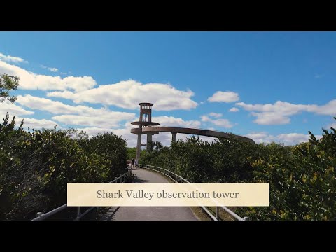 SHARK VALLEY| ALLIGATORS, CROCODILE, and birds| EVERGLADES NATIONAL PARK!