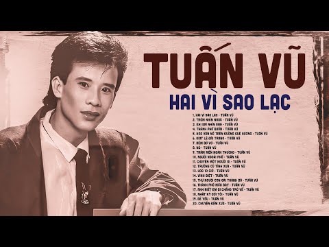 HAI VÌ SAO LẠC - Tuấn Vũ Đặc Biệt - Nhạc Vàng Lossless Âm Thanh Cực Chuẩn Thập Niên 90