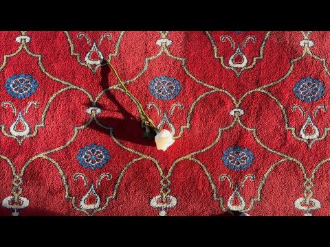 Petrit Çarkaxhiu - TRANDOFILI