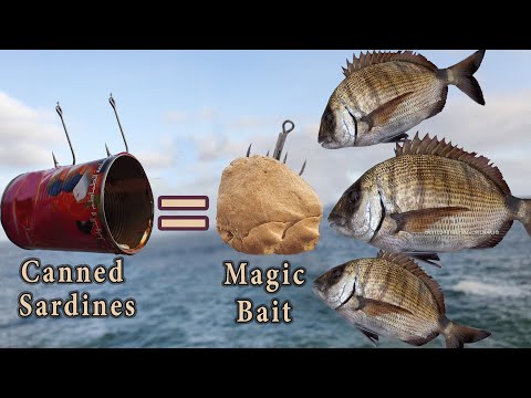 How To Make Magic Bait (Less Than 1$) With Canned Sardines - #Catch-More-Fish