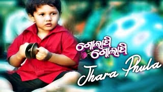 DDD - Jhara Phula - Odia Emotional Song  Film - Go