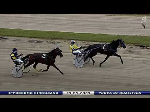 Aversa trotto 13 Maggio 2023 - Prova di qualifica