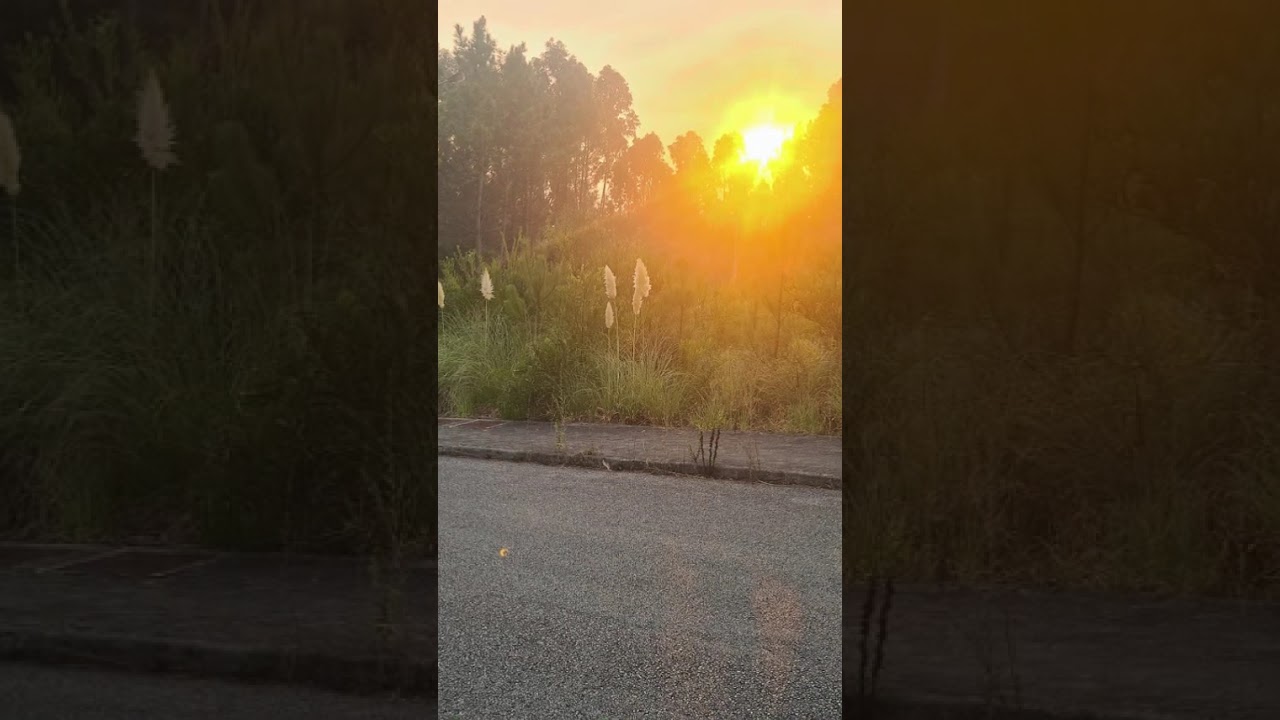 Vídeo do imóvel