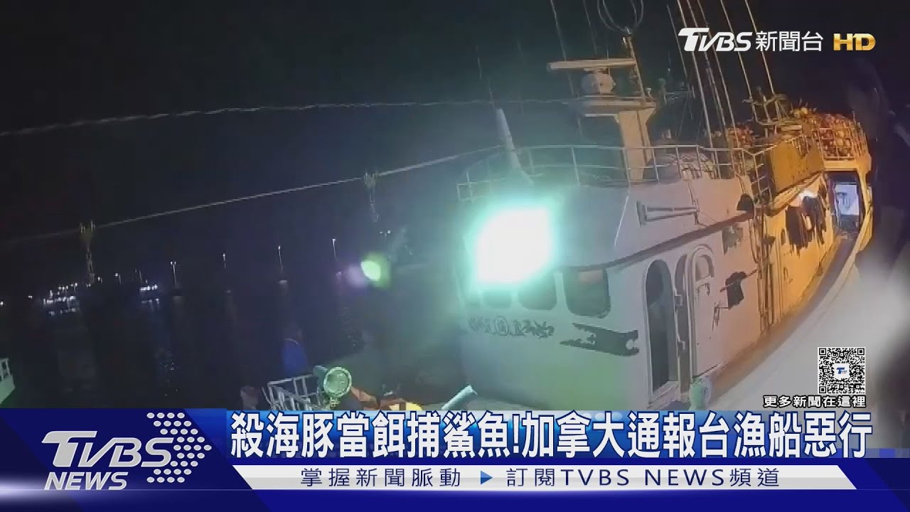 丟臉丟到國外!台漁船「殺海豚當餌」捕鯊魚 遭加拿大通報