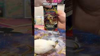 Perfect Order Pack opening. Featuring newly rescued Budgi. #pokemon #pokemontcg #pokemoncommunity