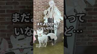 白スーツで決め込んだ花咲翁とワンちゃんが来校！【FGOフェス2026】