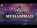 Stunning Recitation Of Surah Muhammad سورة محمد SOFT VOICE Zikrullah TV