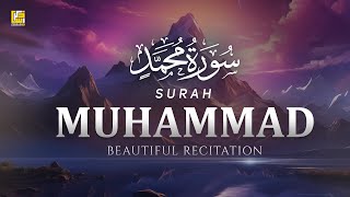 Stunning recitation of Surah Muhammad سورة م�