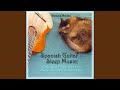 Abiquiu Nightfall (Native American Flute, Guitar & Nature)