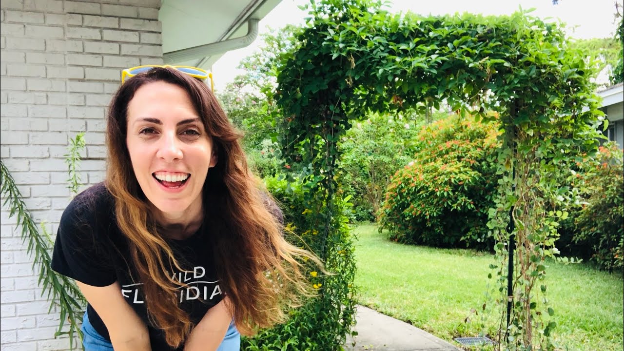 GOOD, BAD, & UGLY of Cattle Panel Arched Trellis