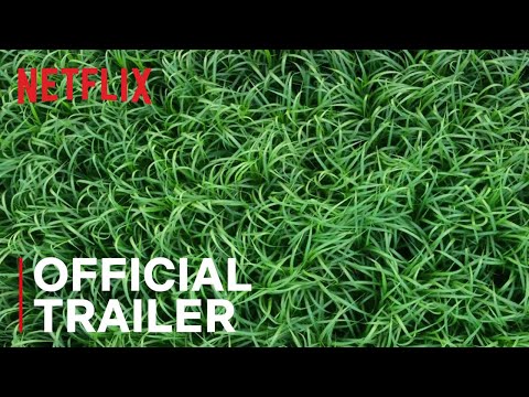 In the Tall Grass (Trailer)