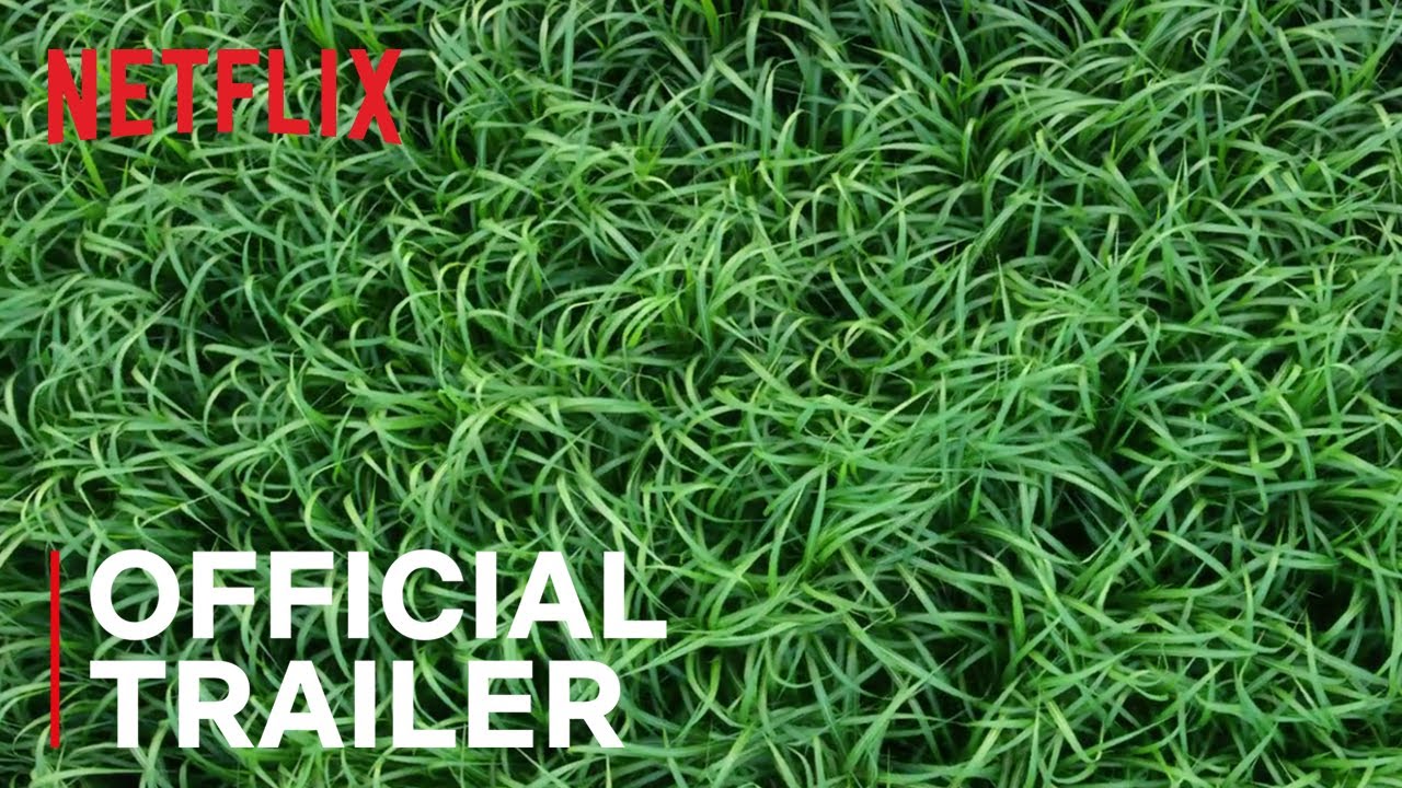 In the Tall Grass | Official Trailer | Netflix thumnail