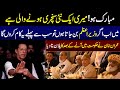 Imran Khan Revealed His Secret Plan Dring Speech In Zaman Park Lahore Rang