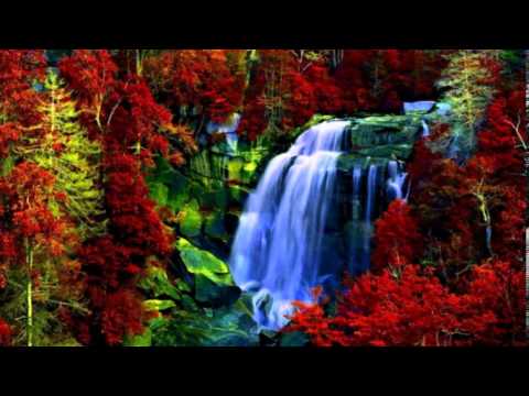 Fausto Papetti   Forever and Ever