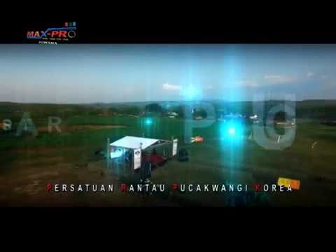 Hanya satu - New palapa