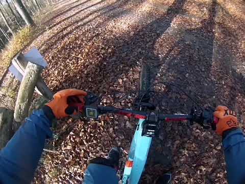 Flowtrail Siegen mit dem Cube Stereo Hybrid 160 2020 Testfahrt #electriccrew57 #cube #SOB