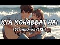 Kya Mohabbat Hai Lofi Slowed Reverb Aesthetic Love Couple Song Kyamohabbathai
