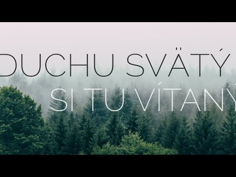 Duchu Svätý si tu vítaný - chvály (text)