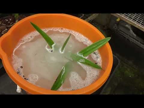 Get rid of those bugs!!