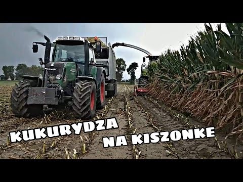 ☆KUKURYDZA NA KISZONKE 2019??☆Usługi Rolnicze Wasiak☆ | ŁÓDZKIE |