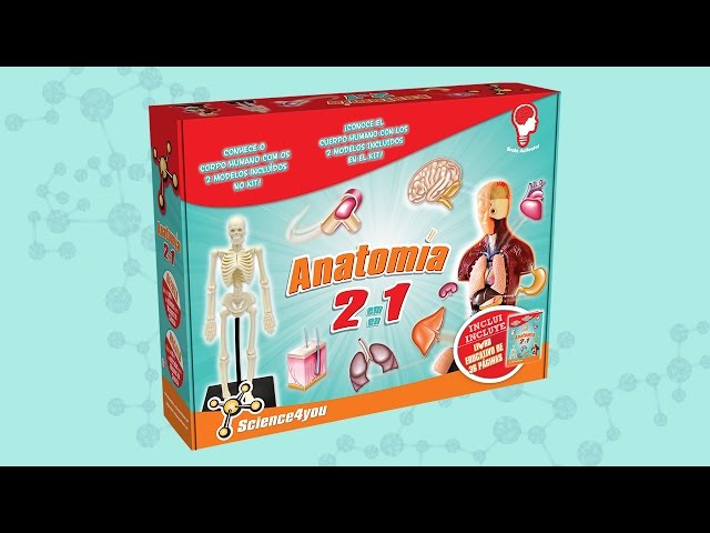 Vídeo relacionado con Modelo de Cuerpo Humano para niños 7x4 Modelo de anatomía Órganos Cuerpo Humano Desmontable ABS Sin Rebabas Juguetes científicos Anatomía educativa para niños Mayores de 3 años, Decoración