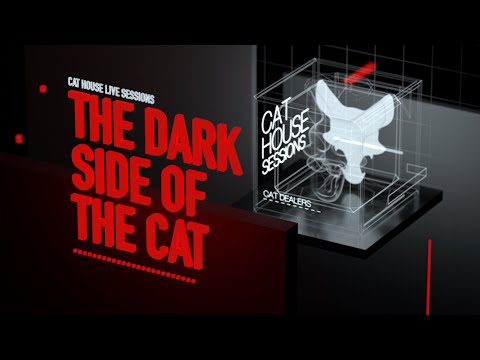 CAT HOUSE LIVE SESSIONS #007 - The Dark Side of the Cat