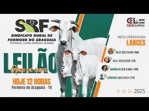 Leilão Gado de Corte Sindicato Rural de Formoso do Araguáia  |  14/12/2025