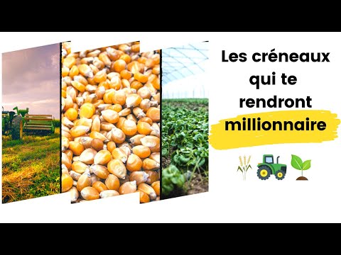 , title : 'Comment devenir MILLIONNAIRE dans l'agrobusiness?'