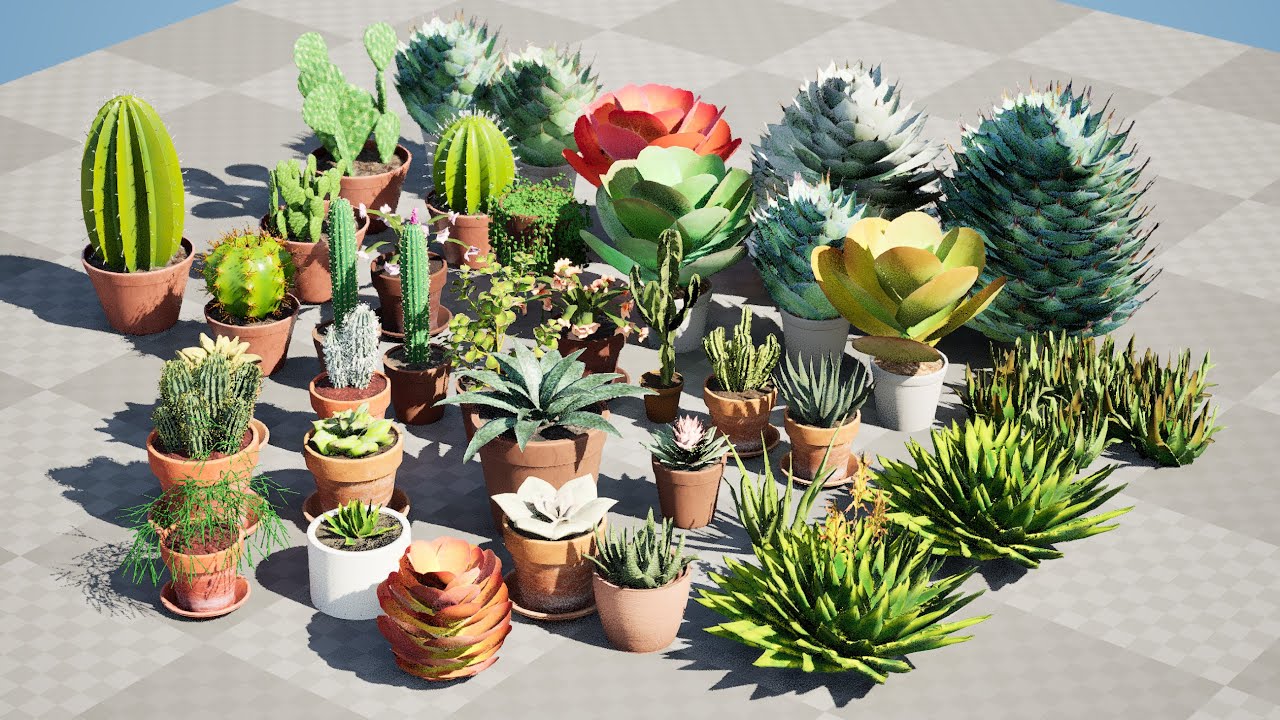 Koleksi Kaktus dan Sukulen Pot Poli Rendah Model 3D