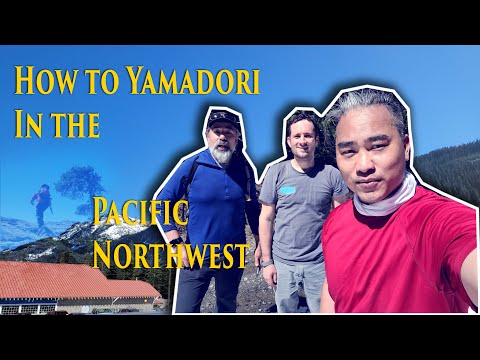 How to Yamadori and Collect Bonsai in the forest of the Pacific Northwest