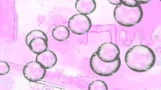 &quot;I Do Dig A Certain Girl&quot; cover - Mckay Marcum