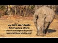 SAFE Worldwide Anti Poaching Initiatives