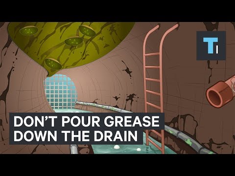 Stop Pouring Grease Down the Sink