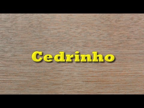 download lagu mp3 mp4 Cedrinho, download lagu Cedrinho gratis, unduh video klip Cedrinho