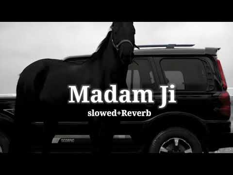 Madam Ji New Masoom Sharma (slowed+Reverb) Haryanvi #song 2025