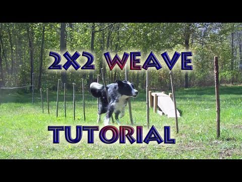 Agility Training Tutorial - Weave Poles (2X2 Poles Method)