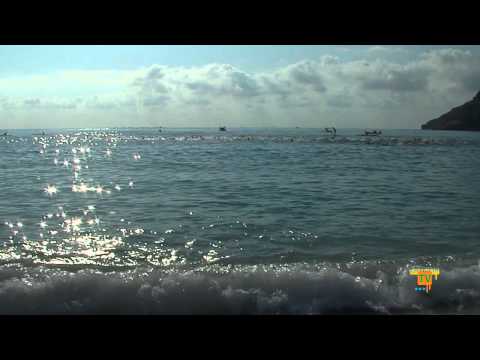 18/07/12 – La VII Travesía a Nado del C.N. La Nucía será el 29 de Julio en la Playa del Albir.