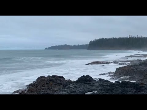 8 Hours of Ocean Waves on a Wild Untouched Coast 🌊 | Deep Relaxation & Focus White Noise