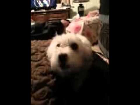 This what happens before we give her a bath