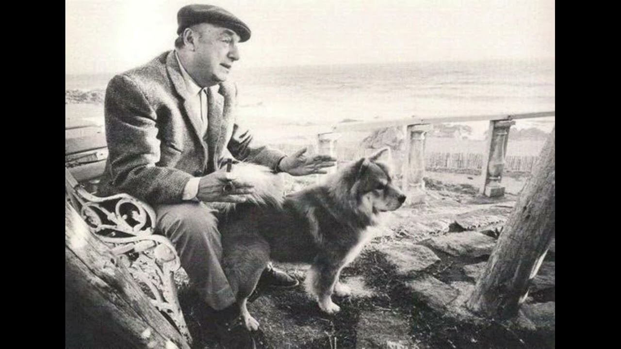 Oda al perro - Neruda